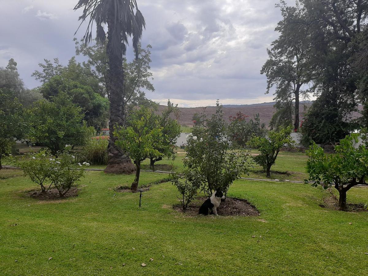Rosenhof Nut Hut Cottage كلانويليام المظهر الخارجي الصورة