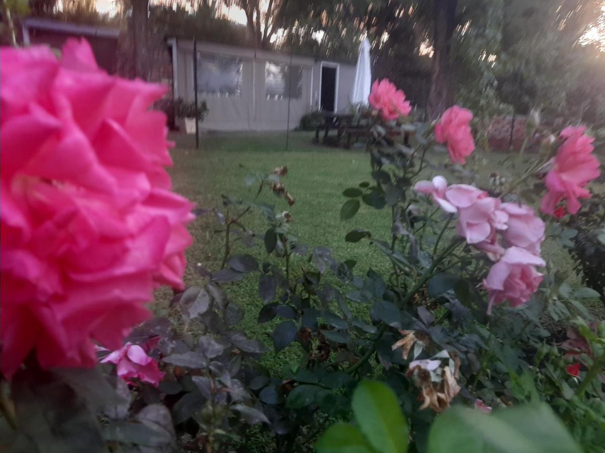 Rosenhof Nut Hut Cottage كلانويليام المظهر الخارجي الصورة